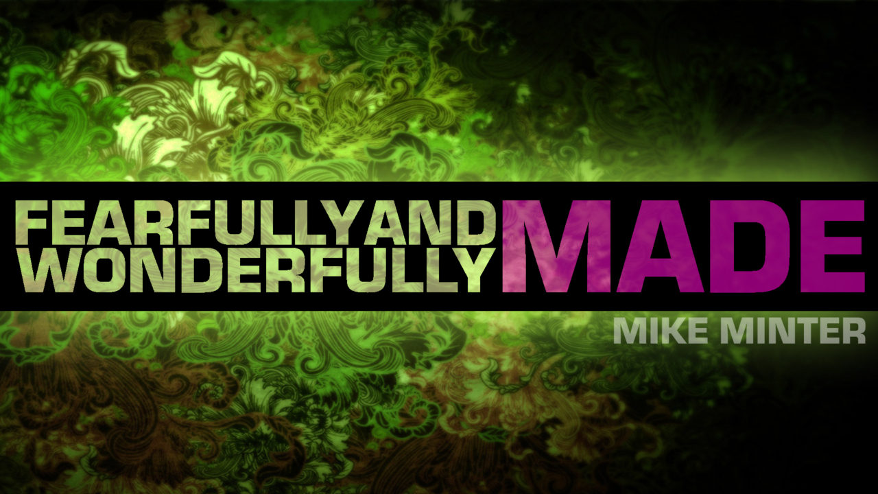 Fearfully & Wonderfully Made, Part 3