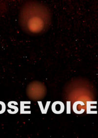 Whose Voice Is It?