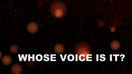 Whose Voice Is It?