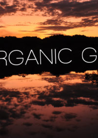 The Organic Gospel