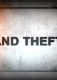 Grand Theft Joy