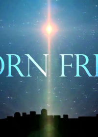 Born Free