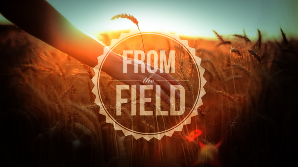 FromTheField - Slide - Title