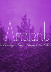 From Ancient Days, Part 4