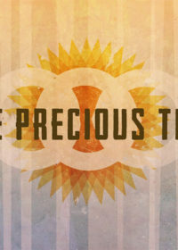 Three Precious Things