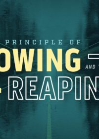 The Principle of Sowing and Reaping