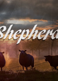 When Shepherds Fail