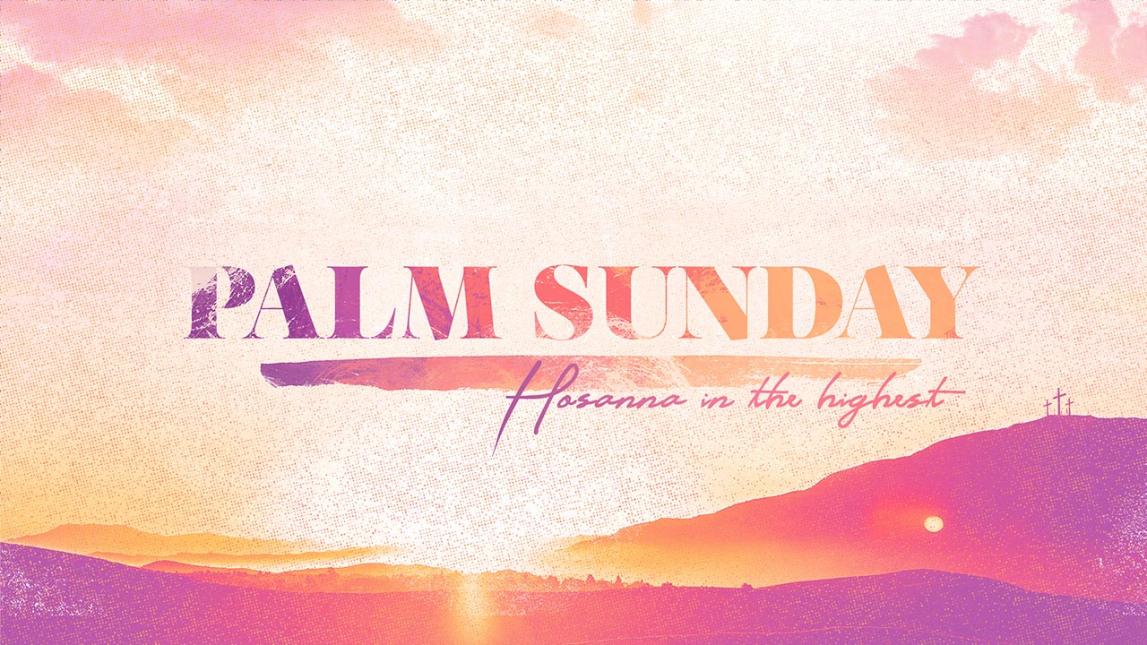 Palm Sunday: The King Has Come