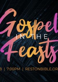 Gospel in the Feasts