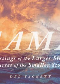 Naaman: Blessings of the Larger Story, Curses of the Smaller Story