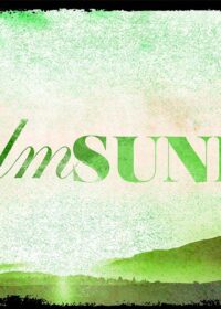 Palm Sunday: The King Has Come