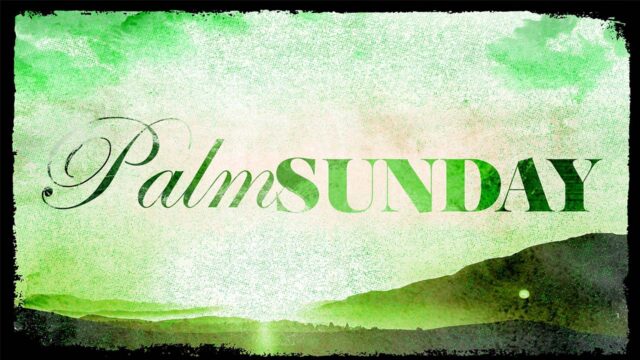 Palm Sunday: The King Has Come